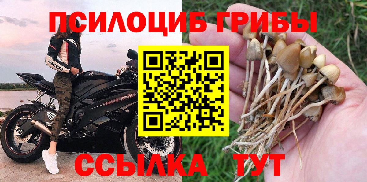 Бузулук  Галлюциногенные грибы Magic Shrooms  Вход с VPN 